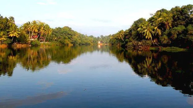 pamba