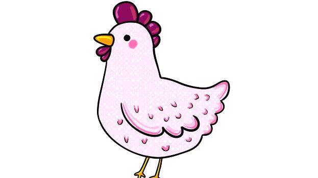 chicken