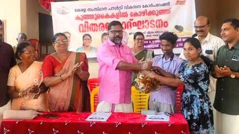kozhi