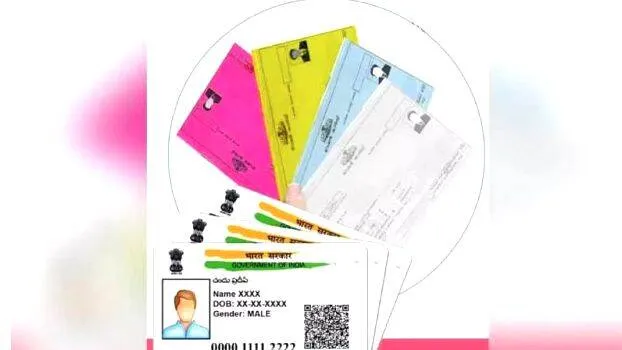 card1 card1