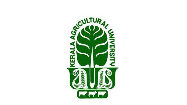 kau