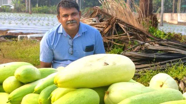 agriculture agriculture