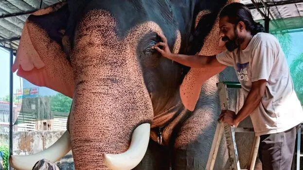 elephant
