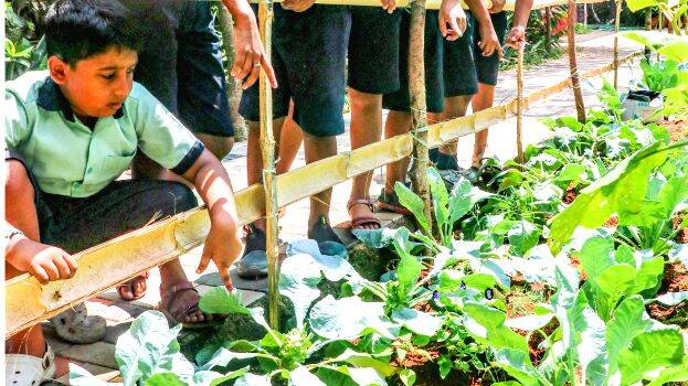 agriculture