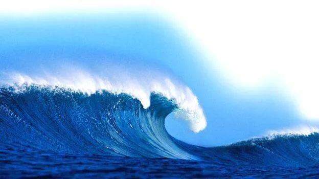 sea sea
