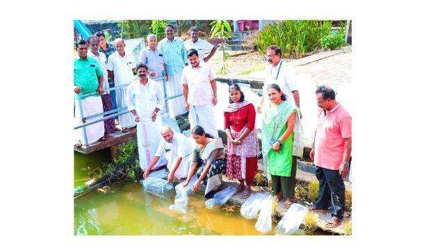 koovappady-fish