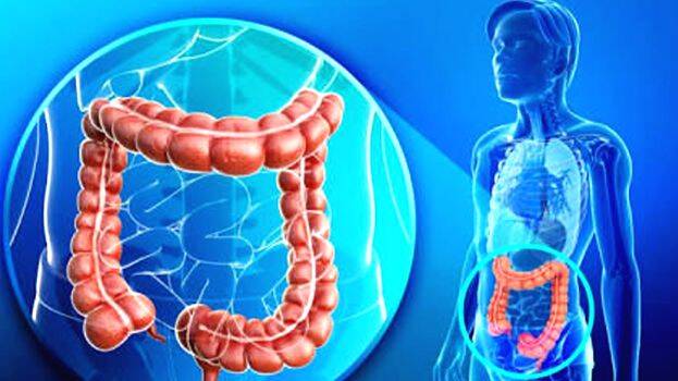 coloproctology