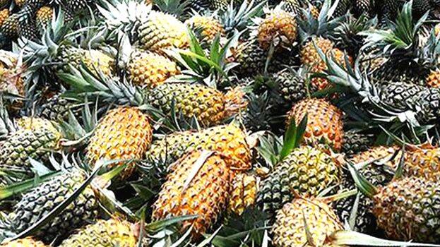 pineapple
