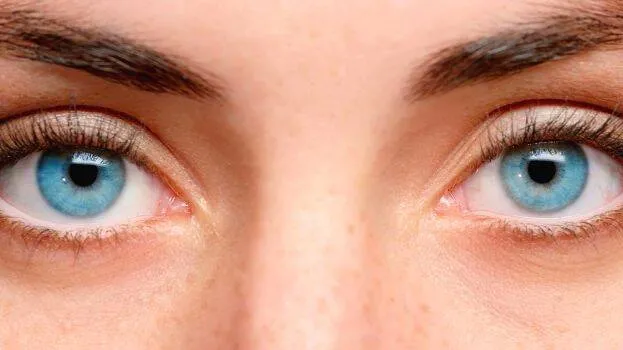 eye