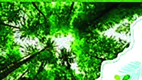 haritha-town haritha-town