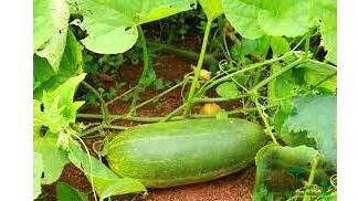 agri