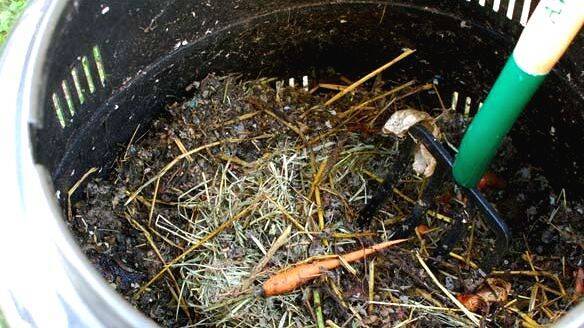wastemanagment