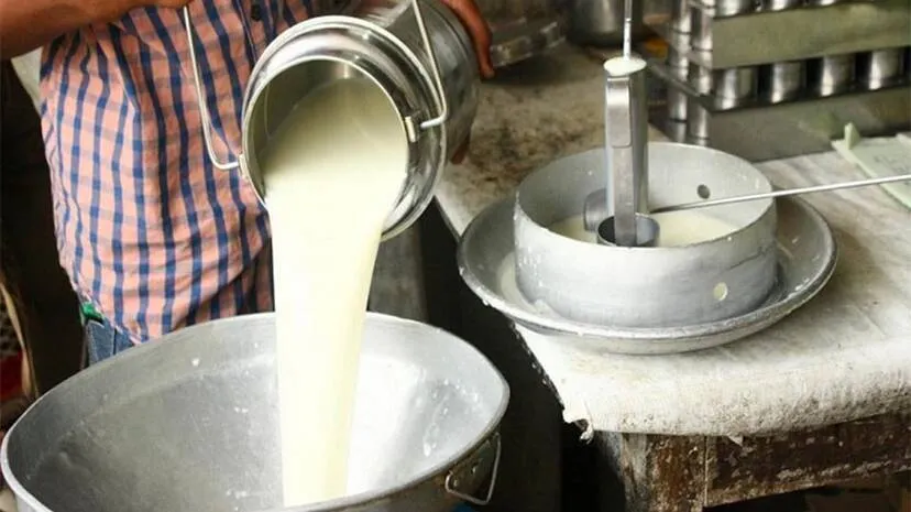 milk