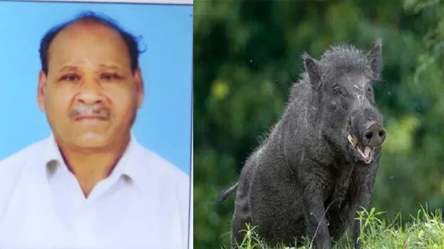sreedharan