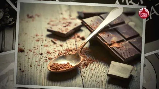 chocolate