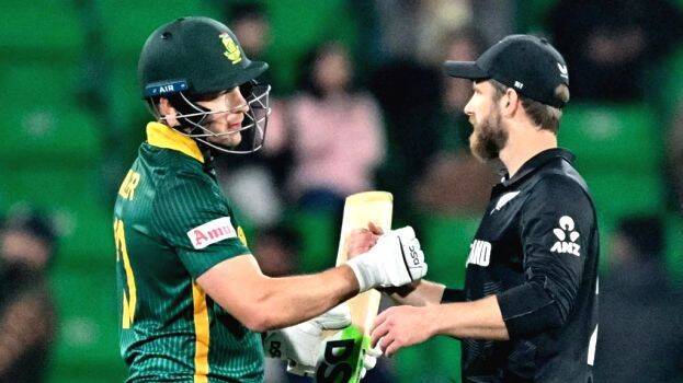 cricket