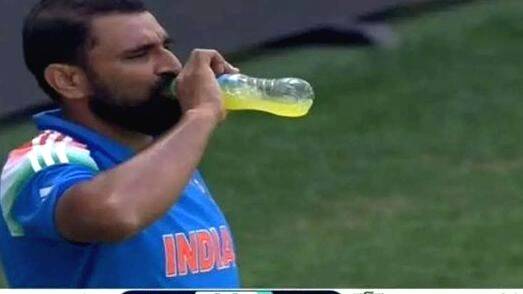 shami