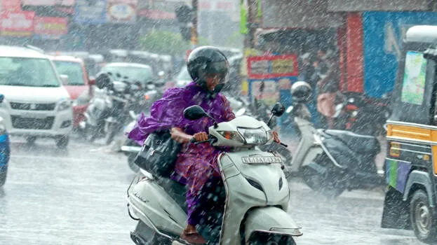 rain