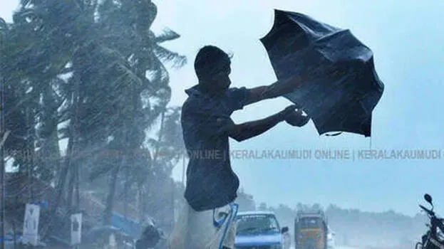 rain-