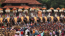 supreme-court-stay-on-restrictions-by-kerala-high-court-on-elephant-processions