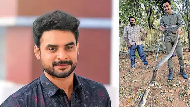 tovino-thomas