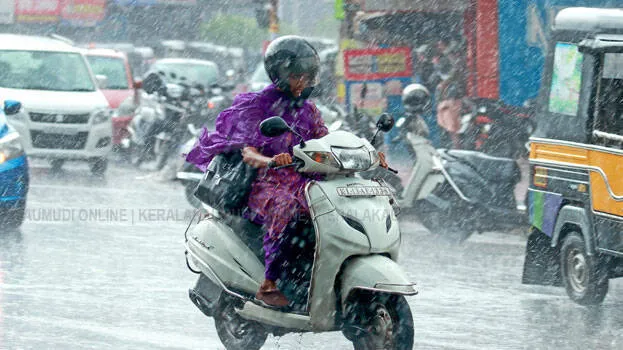 rain-