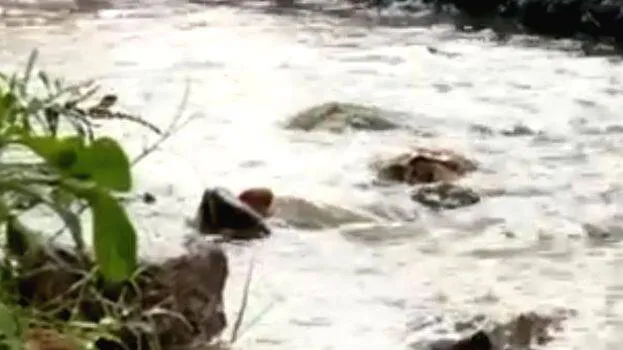 dd