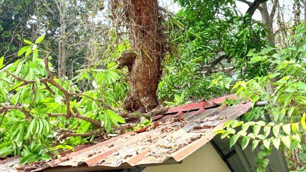 roof