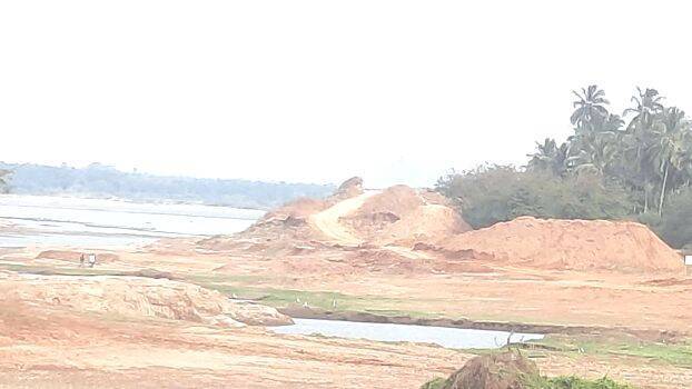 korayar