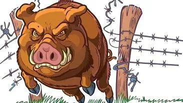 fence