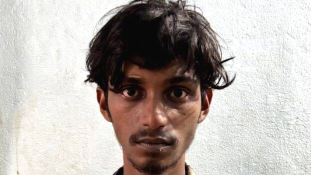 vimal-