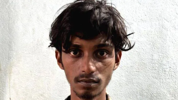vimal-