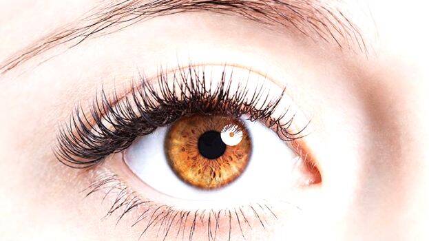 eye