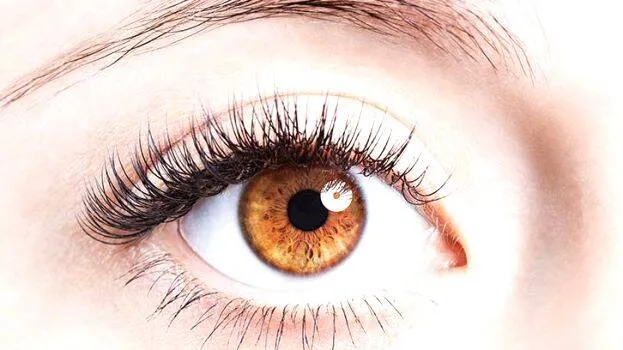 eye