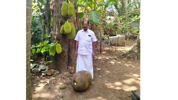 chakka
