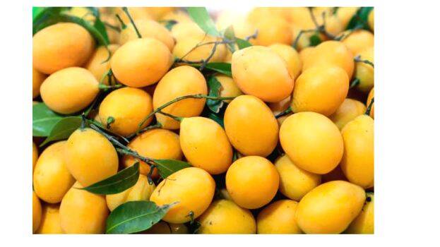 mango