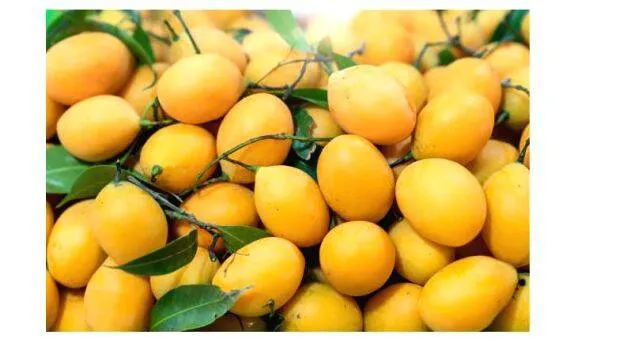 mango