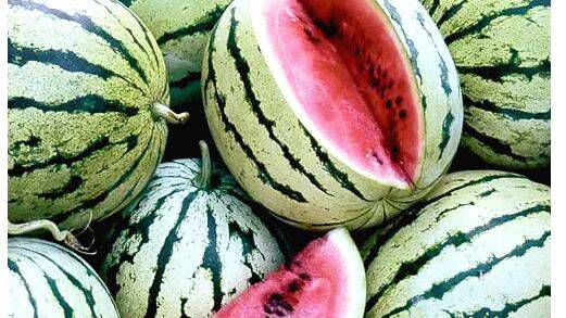 watermelon