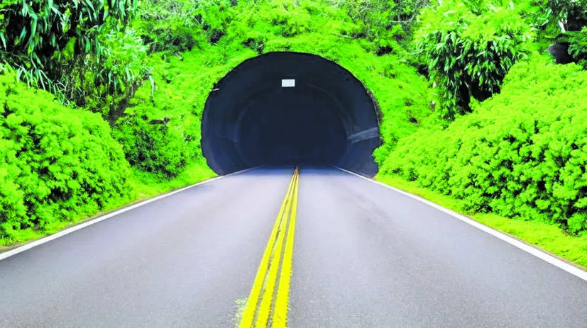tunal tunal