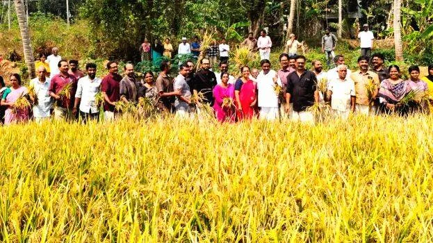 koithu-uthsavam koithu-uthsavam