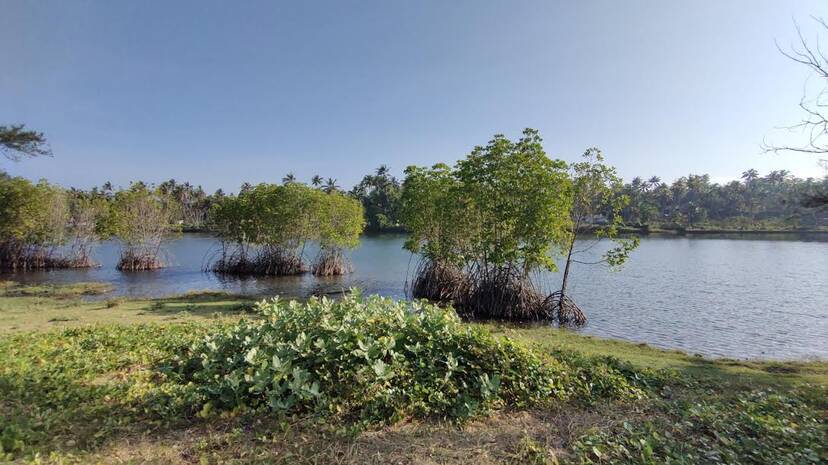 kandalkadukal
