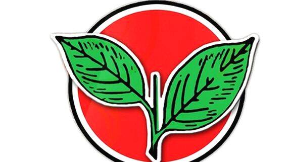 anna-dmk