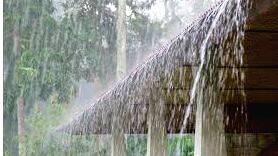 rain