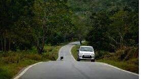 road