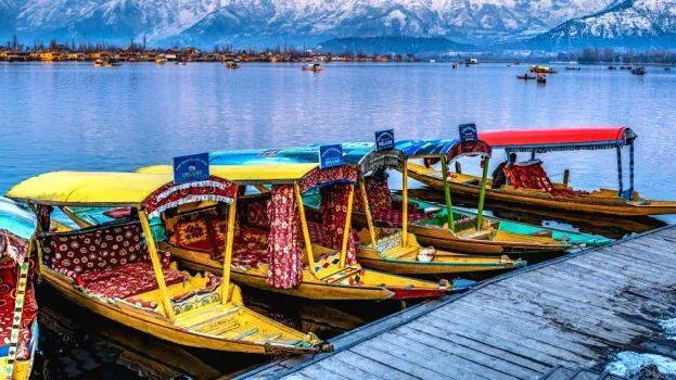 kashmir