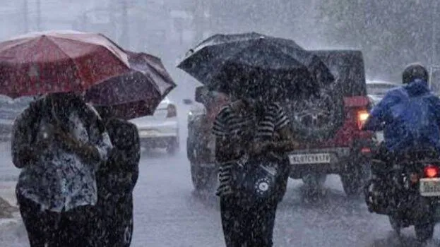 rain
