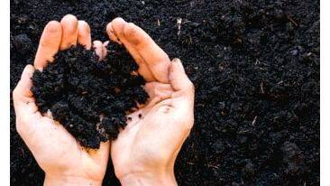fertilizer