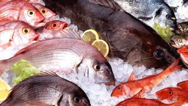 fish