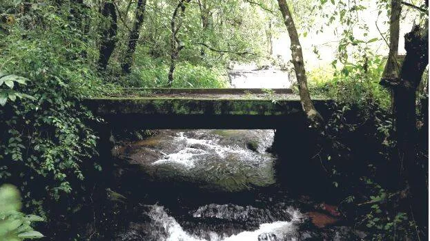 rajapatha