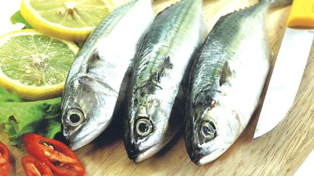 fish